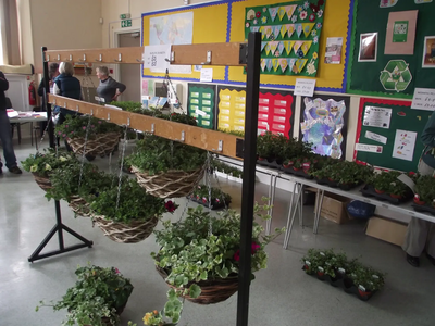 Hanging Baskets